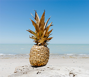 Découvrez la programmation du CRIJ jusqu'à septembre 2019 !