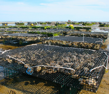 Tour d’horizon des entreprises qui recrutent en novembre ou pour les fêtes