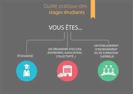 Etudiants, établissements de formation et organismes d’accueil : un nouveau guide des stages