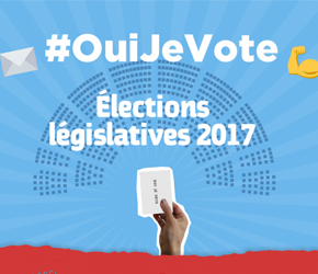 Elections législatives : tout comprendre en une infographie