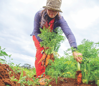 Emploi en février : suivez notre sélection !