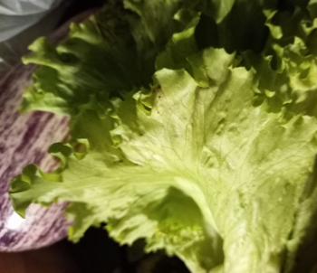 Randstad recrute actuellement