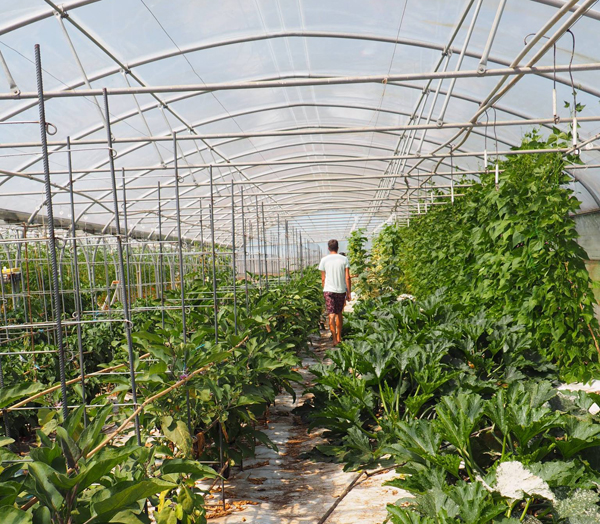 Une nouvelle plateforme pour aider les agriculteurs en manque de main d'oeuvre