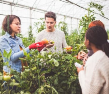 Des aides au logement pour les salariés/saisonniers du secteur agricole