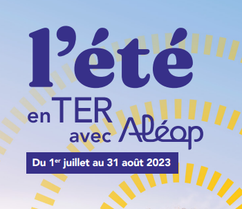 Cet été allez-y en train !